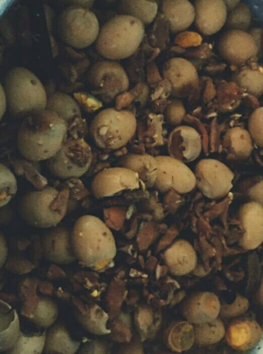 ไข่พะโล้บูด