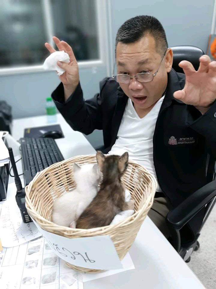 มะลิ กะปิ แมวโรงพัก