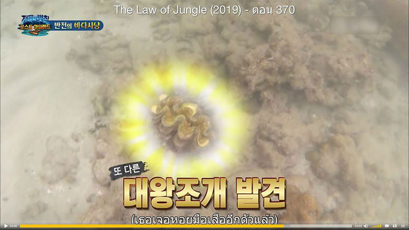 รายการเกาหลีจับหอยมือเสือกิน