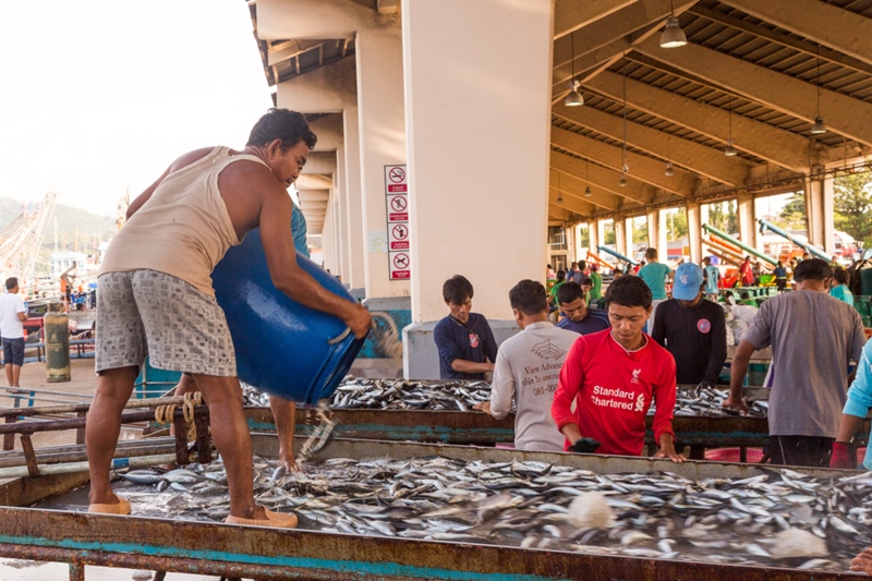 ทยเสี่ยงโดนสหรัฐแบนเพิ่ม