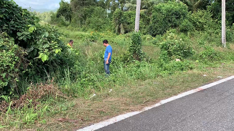 แทงกันตาย