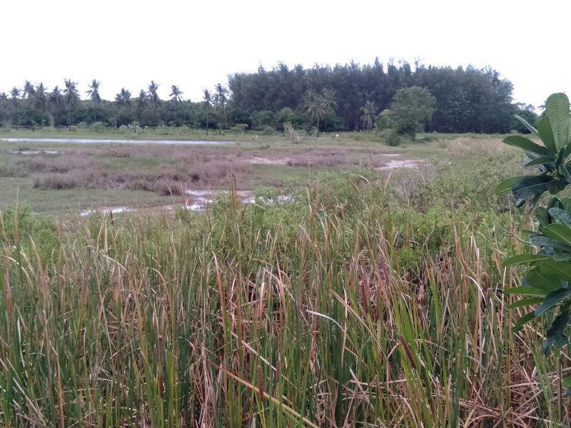 ที่ดินแม่แพรวา