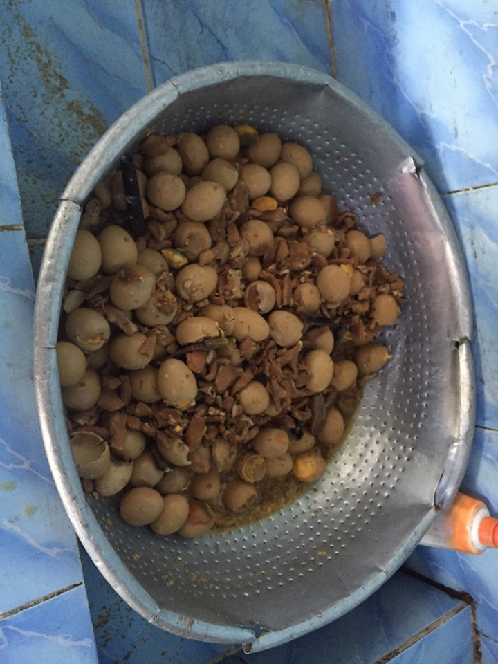 ไข่พะโล้บูด