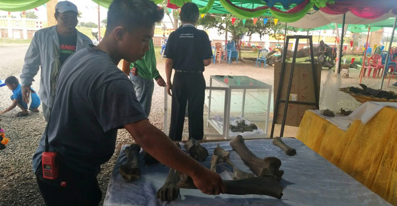 ซากช้างดึกดำบรรพ์