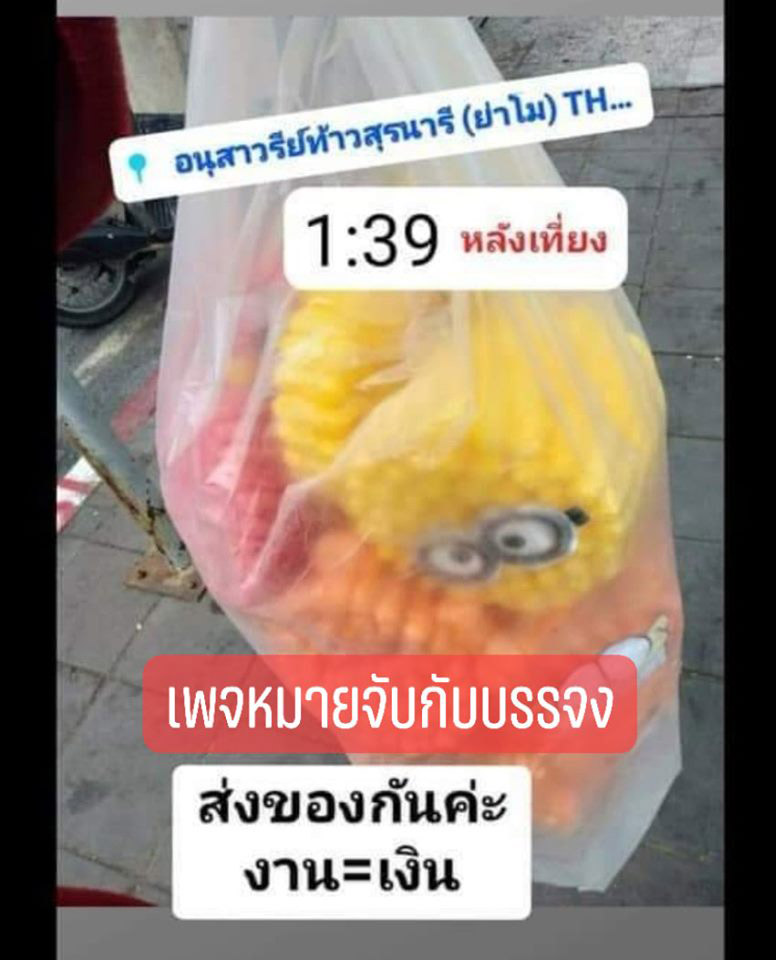 จับกระทงละเมิดลิขสิทธิ์