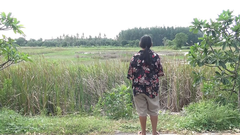 ที่ดินแม่แพรวา