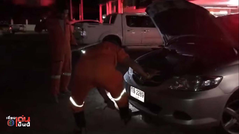 ตัวเงินตัวทอง