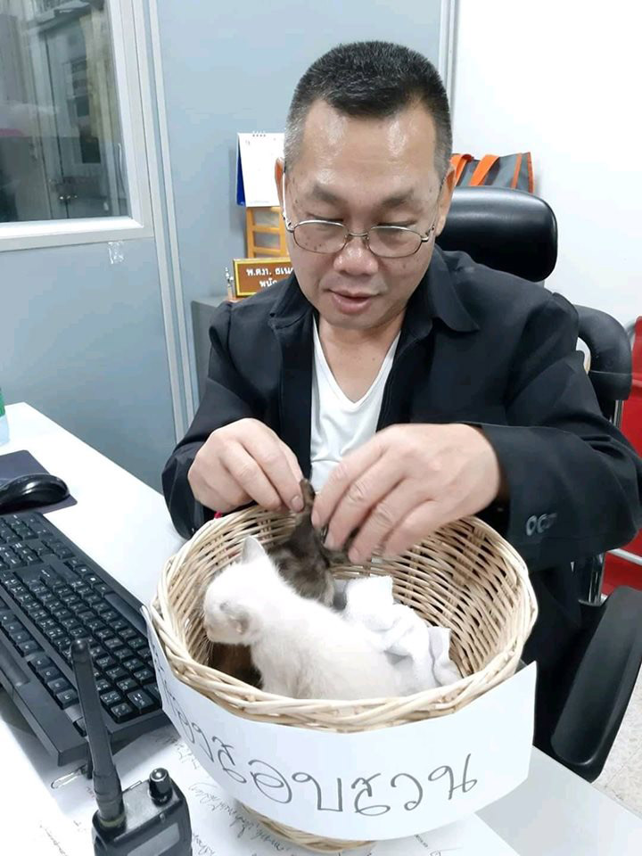 มะลิ กะปิ แมวโรงพัก