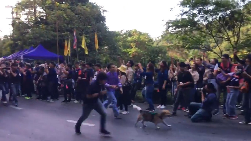 รับน้องขึ้นดอย มช.