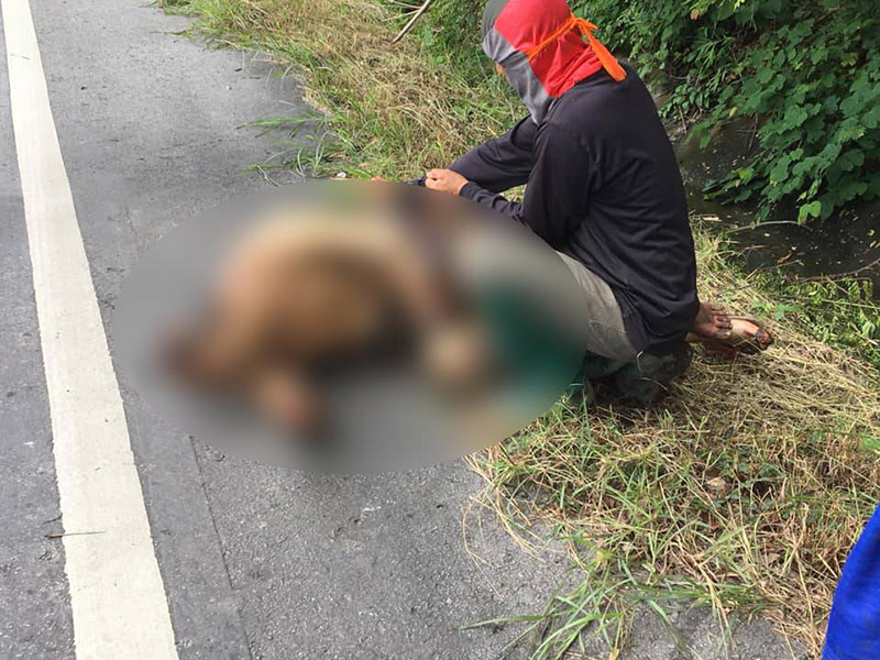 รถบรรทุกน้ำมันคว่ำ