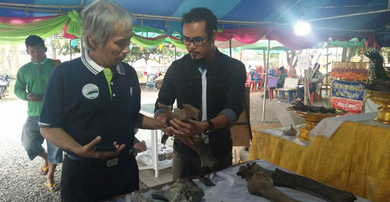 ซากช้างดึกดำบรรพ์