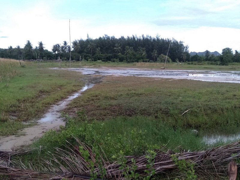 ที่ดินแม่แพรวา