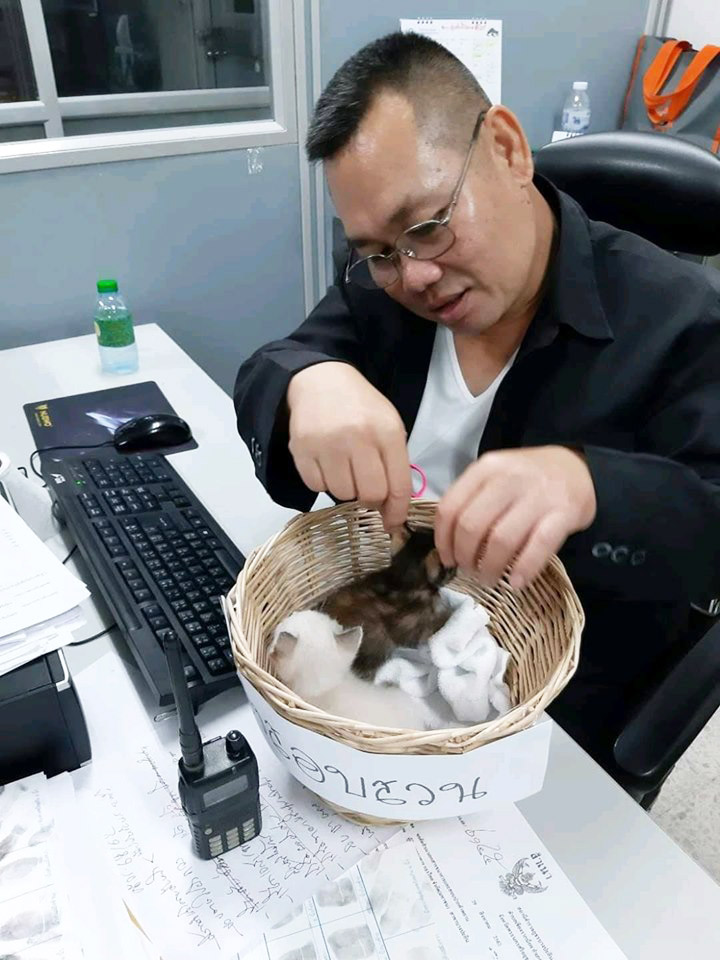 มะลิ กะปิ แมวโรงพัก