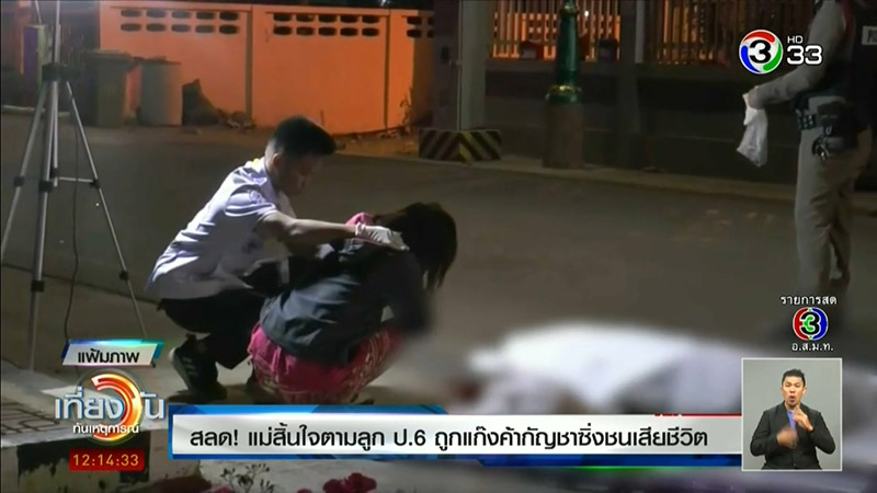 ขนกัญชา ชนแม่ลูก