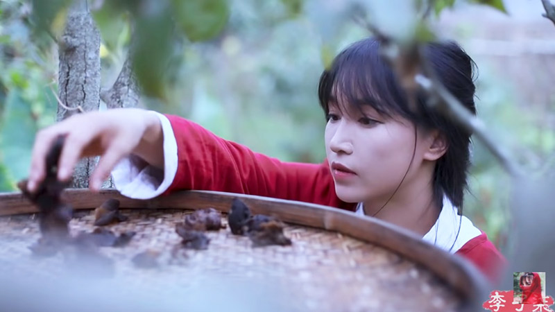 หลี่ จื่อชี  ยูทูบเบอร์จีน