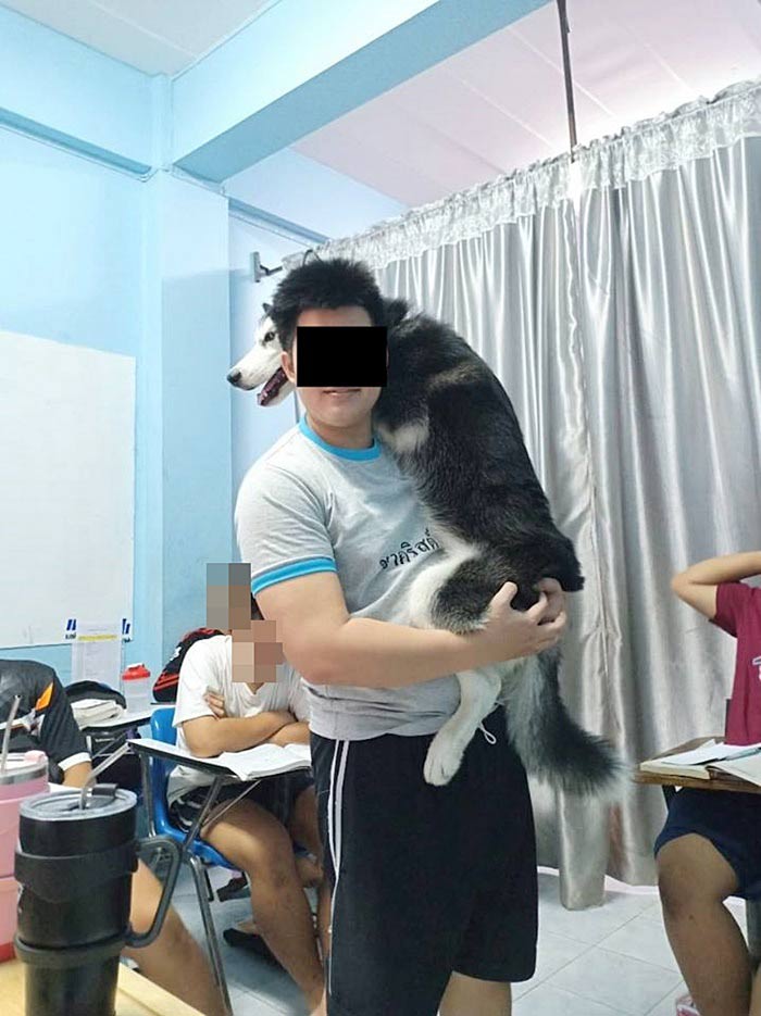 น้องชายแดน