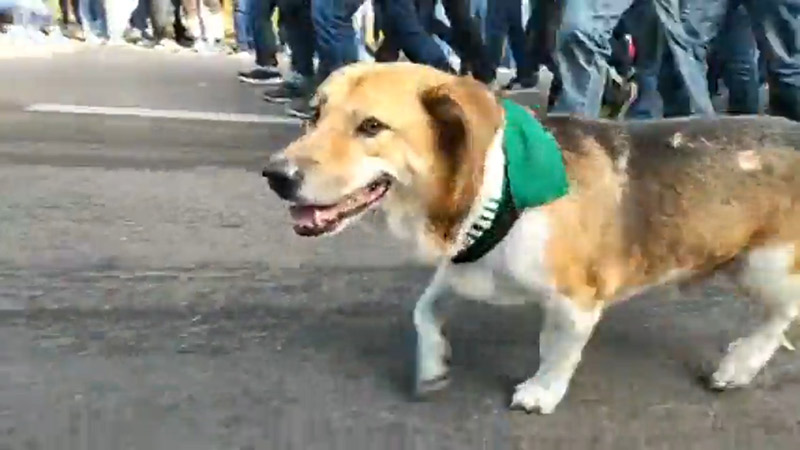 รับน้องขึ้นดอย มช.