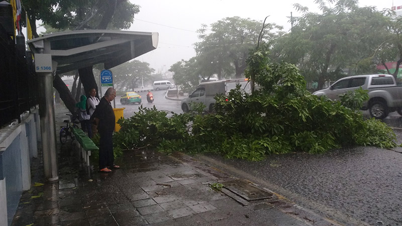 ลูกเห็บตกกรุงเทพ