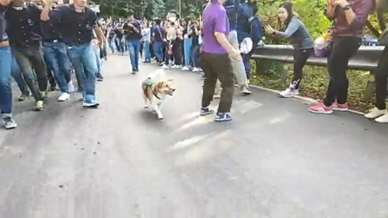 รับน้องขึ้นดอย มช.