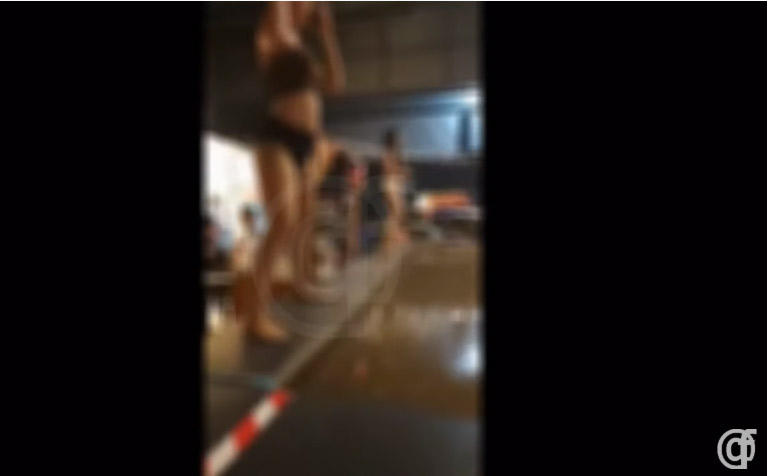 โคโยตี้บ่อตกกุ้ง