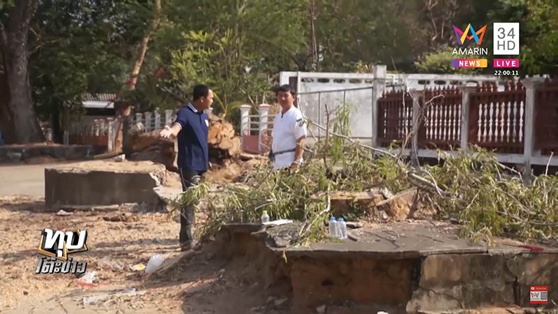 ต้นไม้ล้มทับคน