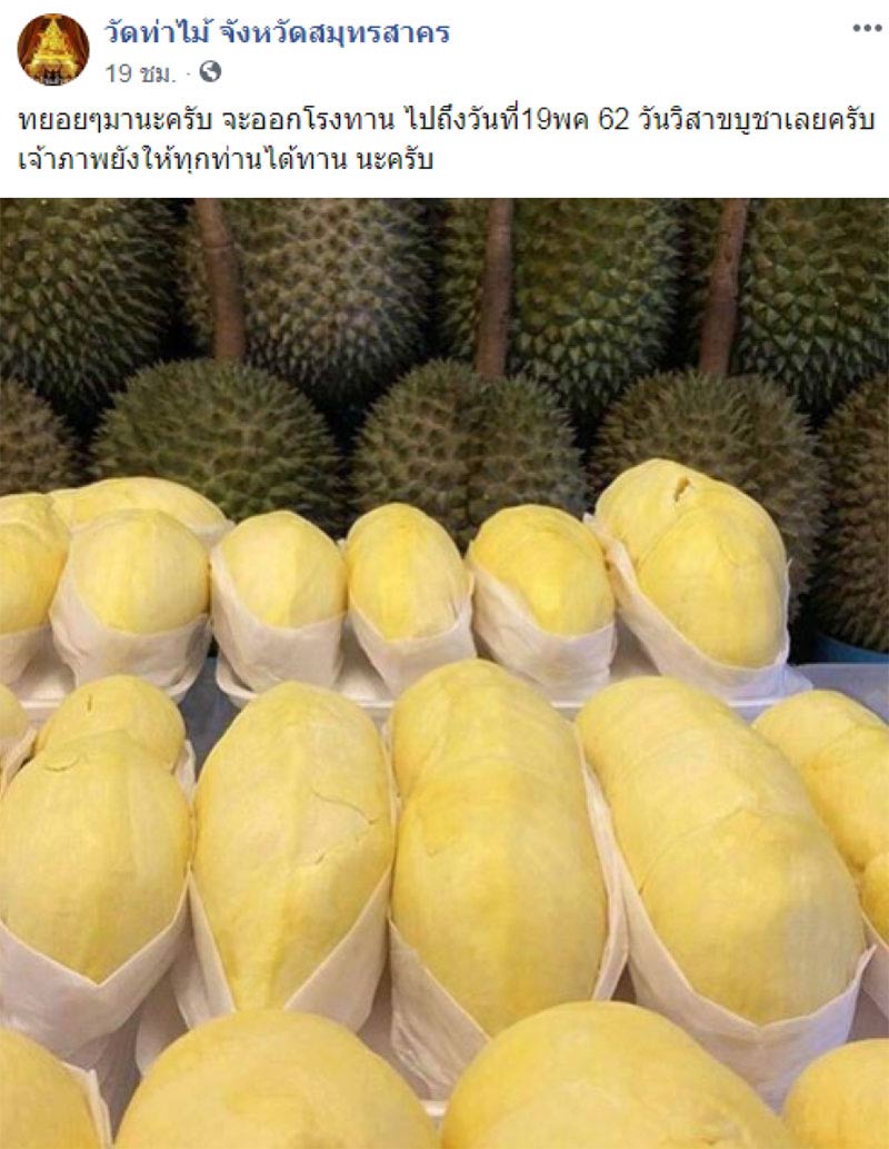 วัดท่าไม้