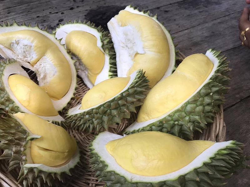 วัดท่าไม้