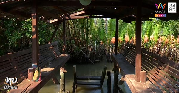 ตายปริศนา