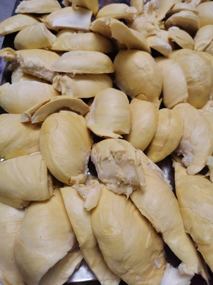 วัดท่าไม้