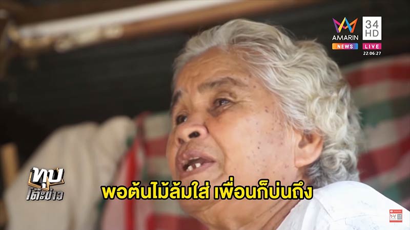 ต้นไม้ล้มทับคน