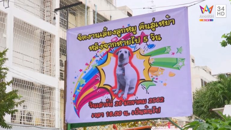 ลูกหมูหมาบุฟเฟต์