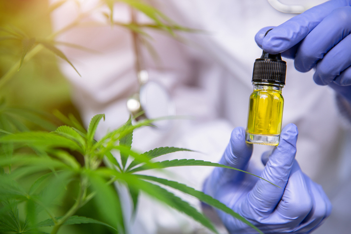 สารสกัดจากกัญชา