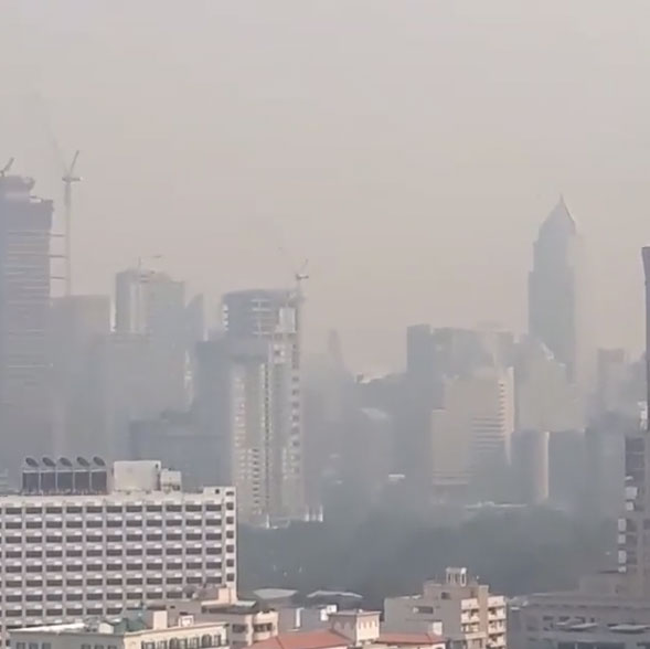 ซันนี่ The Face Men 