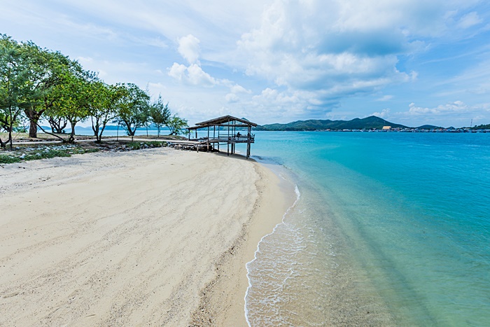 ปิดเกาะแสมสาร ฟื้นฟูปะการัง