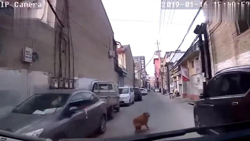 นำทางรถพยาบาล