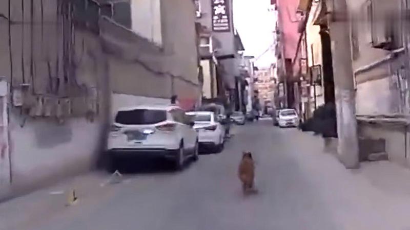 นำทางรถพยาบาล