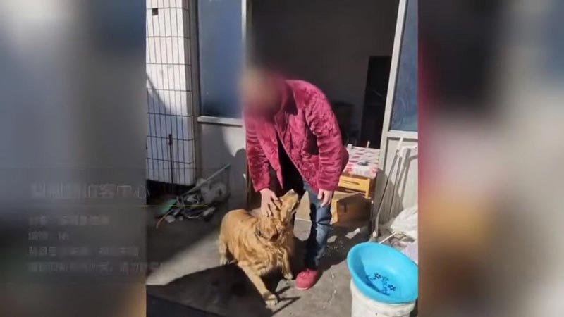 นำทางรถพยาบาล