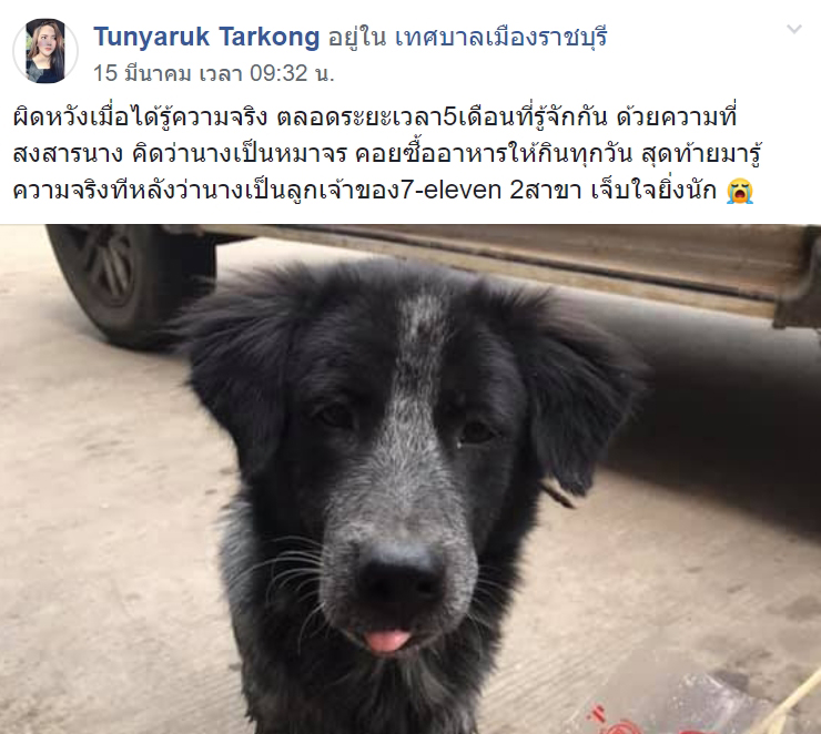 หมาหน้าเซเว่น