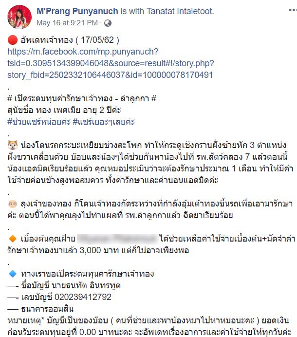 ช่วยหมา