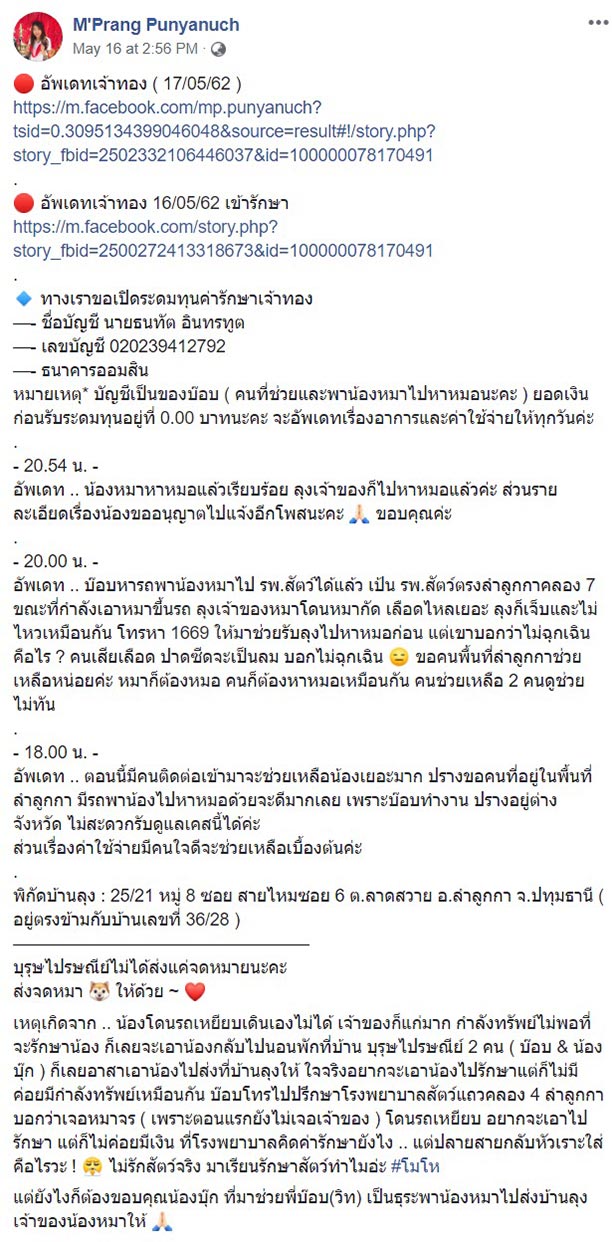 ช่วยหมา