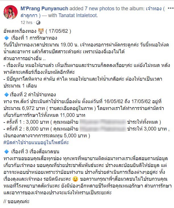 ช่วยหมา