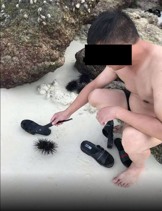 นักท่องเที่ยวมือบอน