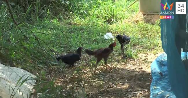  ยิงปากหมา