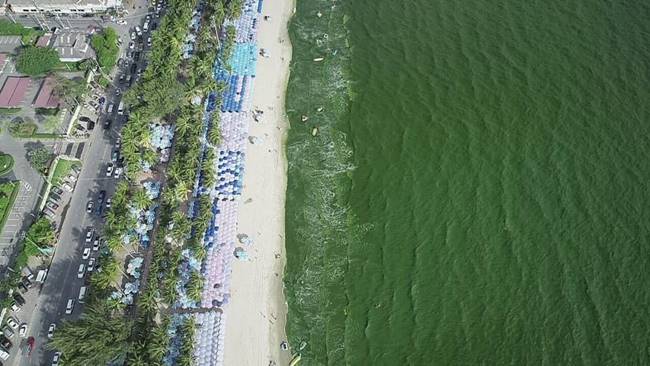 ทะเลบางแสน