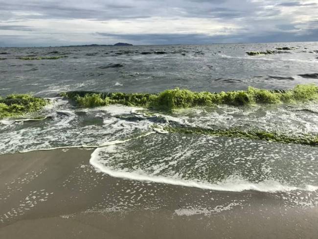 ทะเลบางแสน