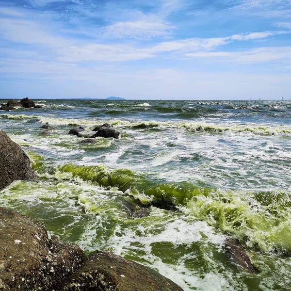 ทะเลบางแสน