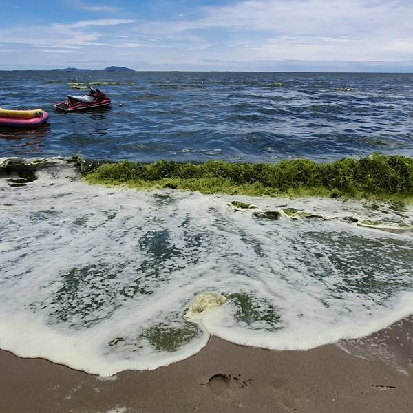 ทะเลบางแสน