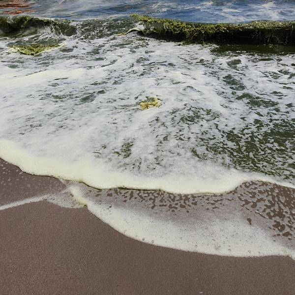 ทะเลบางแสน