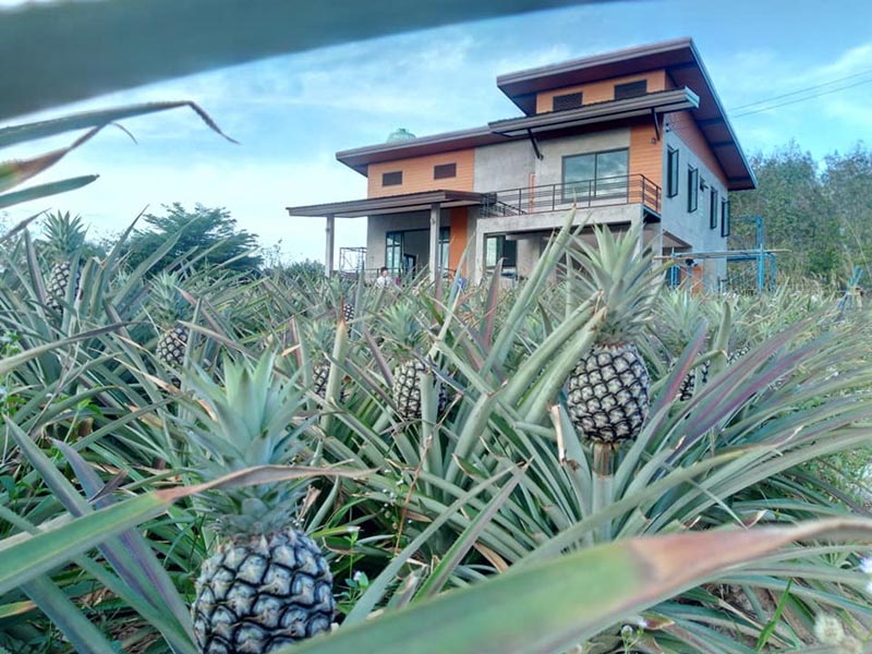 แบบบ้านชั้นครึ่งสไตล์ลอฟท์