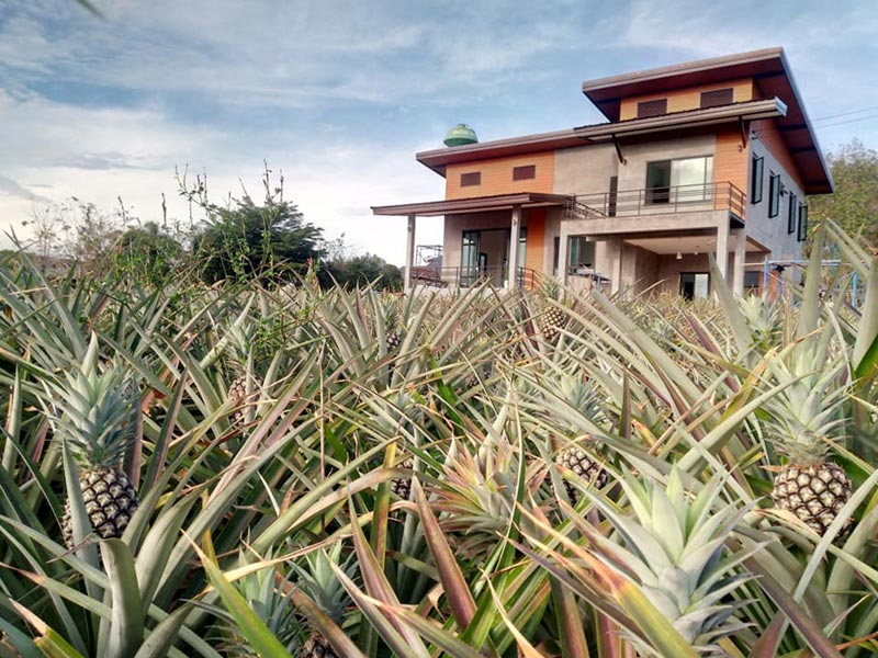 แบบบ้านชั้นครึ่งสไตล์ลอฟท์